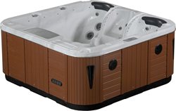 СПА-бассейн SKT338B